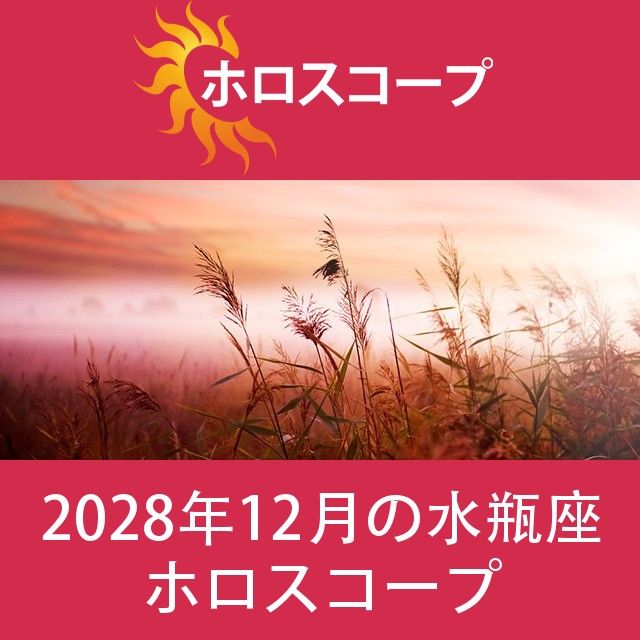 水瓶座 2028年12月 星座月運