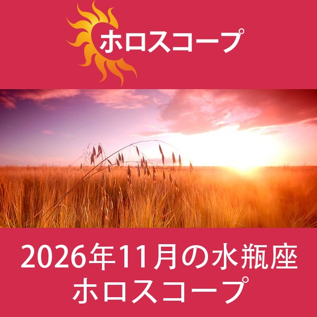 水瓶座 2026年11月 星座月運