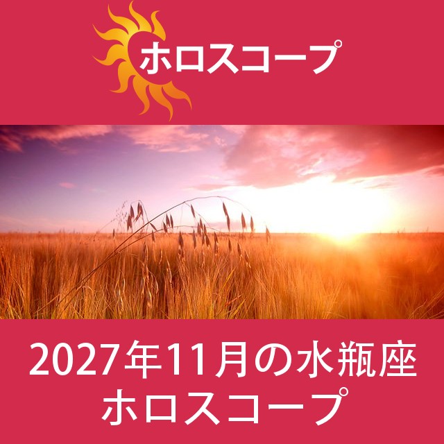 水瓶座 2027年11月 星座月運