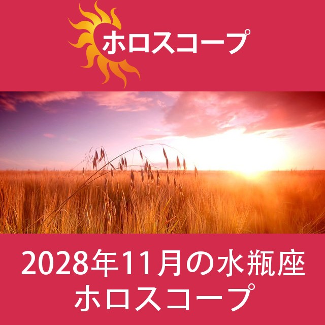 水瓶座 2028年11月 星座月運